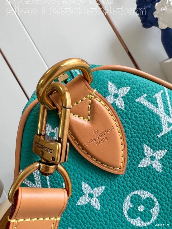Vuitton 25 SPEEDY Louis 0810